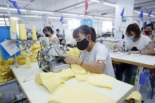 Các doanh nghiệp siêu nhỏ, nhỏ và vừa là chìa khóa trong công cuộc phục hồi kinh tế sau dịch Covid-19