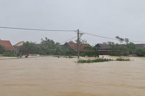 Nhiều hoạt động văn hóa nghệ thuật hướng về miền Trung