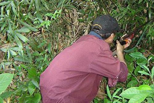 Người đàn ông thiệt mạng vì trúng đạn thợ săn chim
