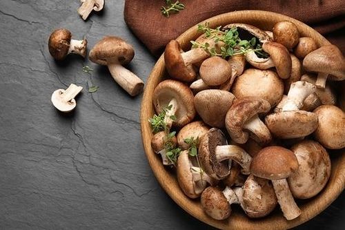 Học người Nhật dùng nấm hương để tăng tuổi thọ, chữa ung thư
