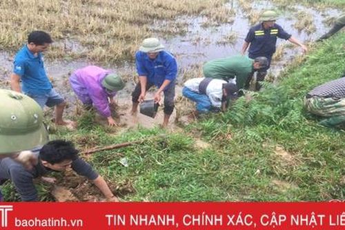 Can Lộc diệt hơn 98 ngàn con chuột