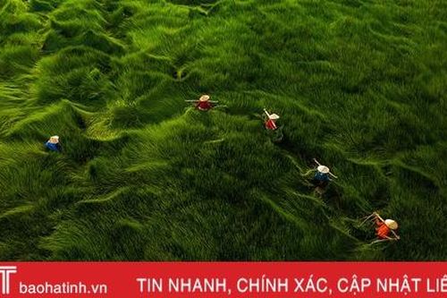 Nhiều ảnh chụp Việt Nam đoạt giải Aerial Photography Awards 2020