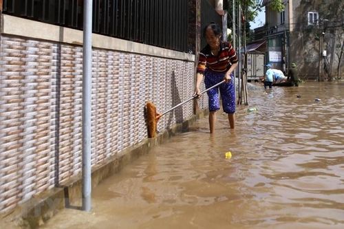 Người dân vùng lũ Hà Tĩnh khắc phục khó khăn, ổn định đời sống