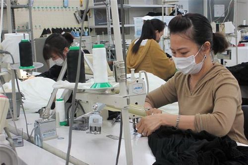 Nhật Bản đối mặt với tình trạng gia tăng thẻ cư trú giả