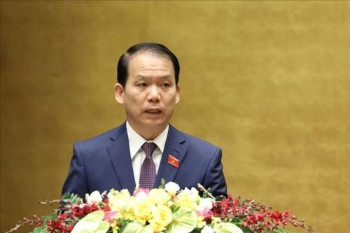 Cân nhắc việc mở rộng chủ thể ký thỏa thuận quốc tế về phía Việt Nam