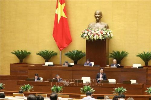 Bảo vệ trẻ em và người yếu thế - tính nhân văn trong dự án Luật Bảo đảm trật tự, an toàn giao thông đường bộ