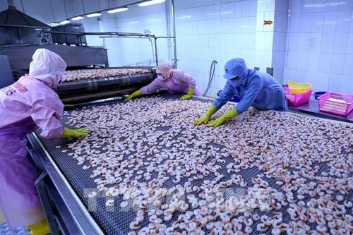 Minh Phú phản hồi kết luận của Hải quan Hoa Kỳ