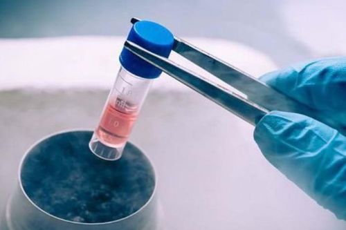 Tế bào gốc điều trị ung thư gan?