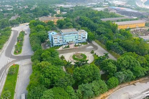 VICEM tâm huyết với công tác an sinh xã hội và hỗ trợ cộng đồng