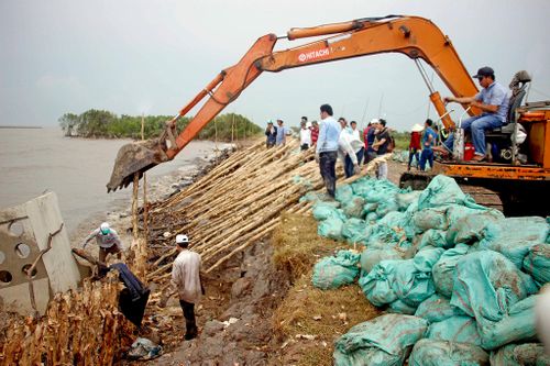Đê biển nghìn tỷ có nguy cơ sạt lở