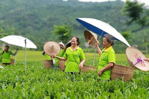 Trăn trở xây dựng thương hiệu sản phẩm làng nghề
