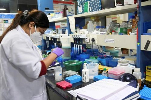 IMF hạ dự báo tăng trưởng kinh tế vì Covid-19