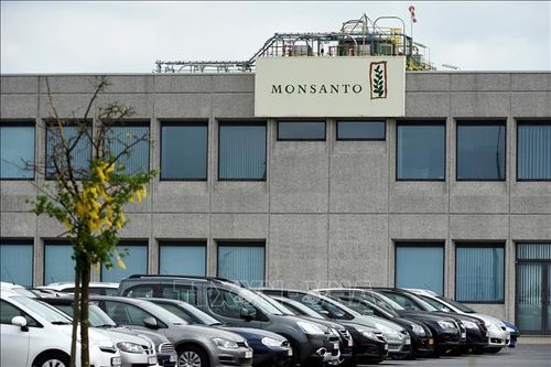 Tòa án Pháp bác đơn kháng cáo của Monsanto