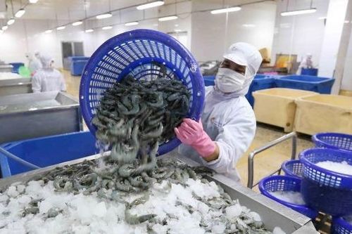 Xuất khẩu thủy sản có thể đạt 8,4 tỷ USD