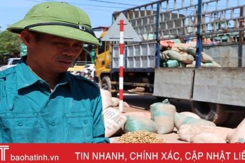 Cẩm Xuyên khẩn trương 'giải cứu' lúa ngập lụt