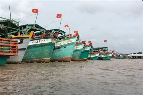 Cà Mau tích cực ngăn chặn các hành vi đánh bắt hải sản trái phép