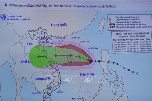 Ứng phó bão số 8 và khắc phục hậu quả mưa lũ miền Trung