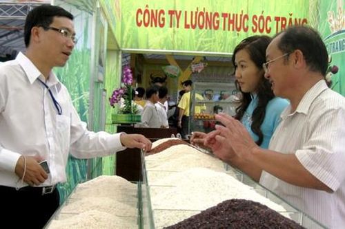 Đường dài của gạo Việt