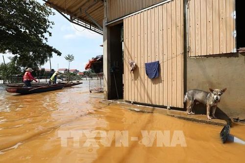 Quảng Bình: Kịp thời đưa người bị tai nạn giữa vùng lũ lụt biệt lập đi cấp cứu