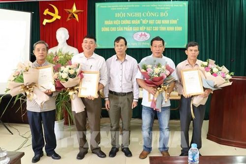 Công bố nhãn hiệu chứng nhận 'Nếp hạt cau Ninh Bình'