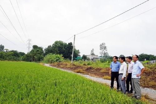 An Giang triển khai Nghị quyết Đại hội Đảng trong ngành nông nghiệp