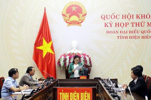 Đại biểu Quốc hội tỉnh tham gia ý kiến vào dự thảo Luật sửa đổi, bổ sung một số điều của Luật Phòng, chống HIV/AIDS