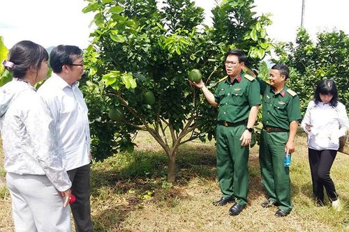 Giúp dân xóa đói giảm nghèo
