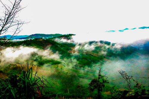Săn mây ở Khánh Sơn