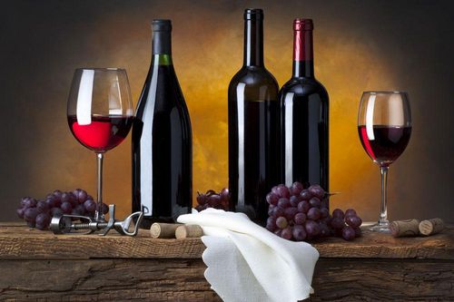 Ảnh hưởng kỹ thuật cố định nấm men đến quá trình lên men rượu vang nho - dâu tằm