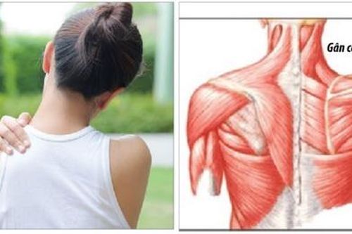 Ngừa chấn thương vai và cánh tay khi tập luyện