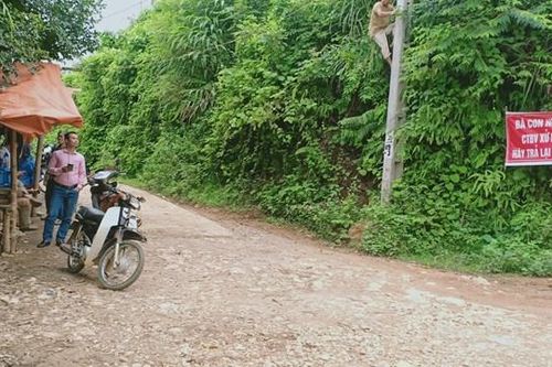 Hòa Bình: Dân bất bình vì nhà máy chôn rác thải chưa qua xử lý gây ô nhiễm