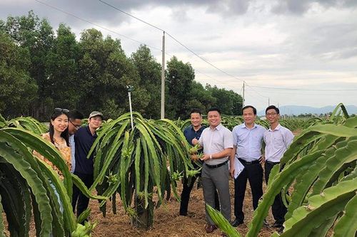 Giải pháp quản lý truy xuất nguồn gốc vùng trồng