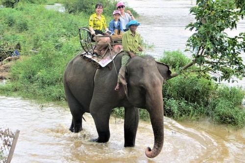 Đắk Lắk không đưa khách đến tham quan các điểm nuôi nhốt động vật hoang dã trái phép