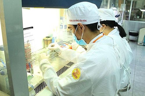 Sẽ thí điểm đào tạo trình độ cao đẳng cho học sinh tốt nghiệp THCS