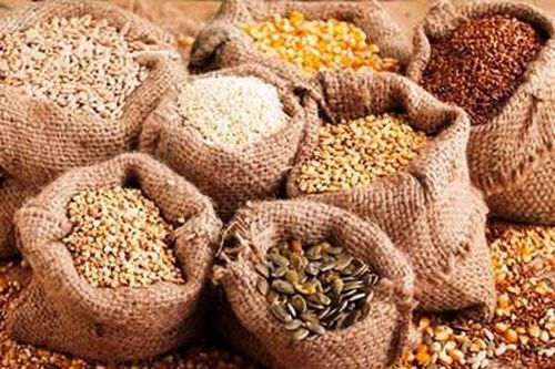 Thủ tướng Chính phủ quyết định xuất cấp hạt giống cây trồng hỗ trợ 2 tỉnh Ninh Thuận và Hà Giang