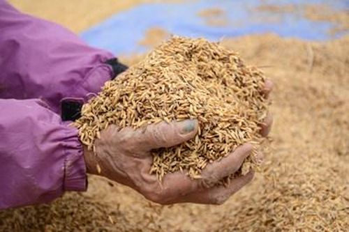 'Chúng tôi cần vốn để khôi phục sản xuất'