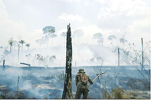 Brazil ngừng hoạt động phòng chống cháy rừng