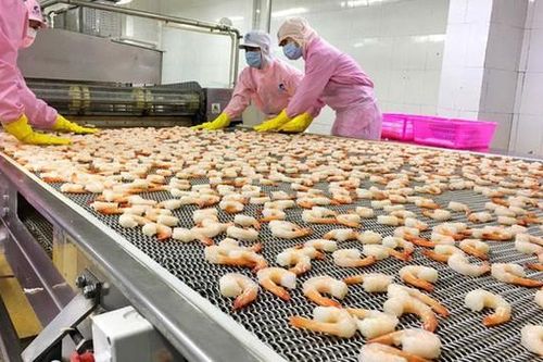 Minh Phú kháng cáo Hoa Kỳ vì bị áp thuế đối với tôm
