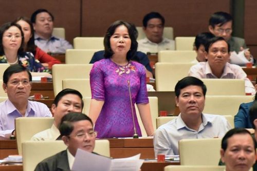 Đại biểu Quốc hội nói gì về việc giao UBND cấp tỉnh thẩm định báo cáo tác động môi trường?