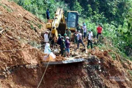 Toàn văn thông tư 13/2019/TT-BNNPTNT về trồng rừng thay thế