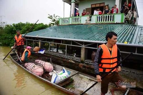 Toàn văn thông tư số 24/2013/TT-BNNPTNT