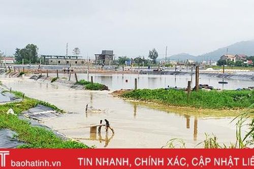 Hà Tĩnh đề nghị Bộ NN&PTNT hỗ trợ 18.000 lít hóa chất Iodine, 50.000kg hóa chất Chlorine
