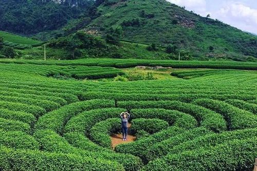 'Trải nghiệm sắc màu Sơn La' - Kết nối du lịch Hà Nội-Sơn La