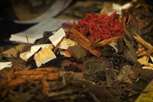 Hà Nội: Gìn giữ tri thức làm thuốc nam của người Dao huyện Ba Vì