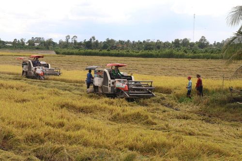 Đến năm 2030 cả nước sẽ có trên 5.000 hợp tác xã ứng dụng công nghệ cao