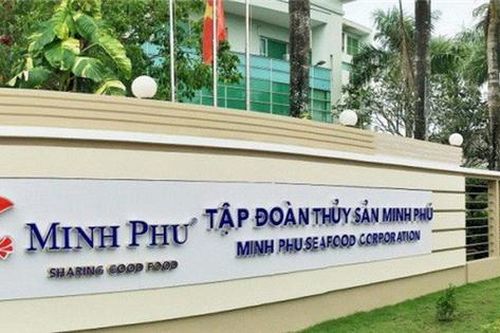 Nguy cơ vua tôm Minh Phú bị áp thuế chống bán phán giá
