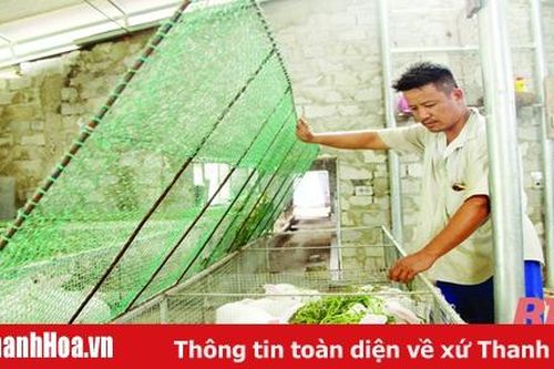 Các mô hình phát triển kinh tế nông nghiệp bền vững ở huyện Như Thanh