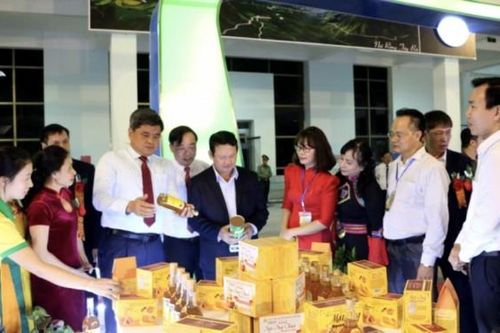 Sản phẩm OCOP sẽ hướng tới xuất khẩu