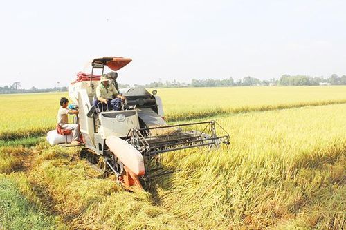 Để nông thôn thành nơi ''đất lành chim đậu''
