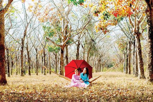 Sức thu hút của những làng quê…